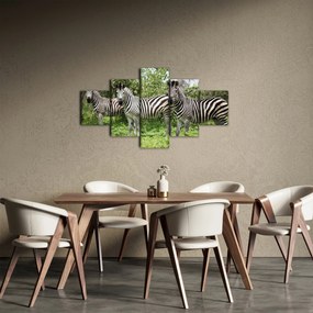 Obraz z zebrami (125x70 cm)