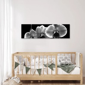Obraz kwiatu orchidei (170x50 cm)