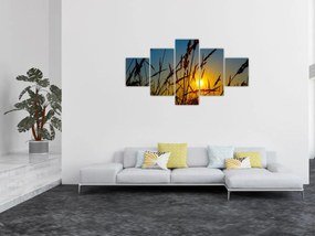 Obraz - Zachód słońca na łące (125x70 cm)