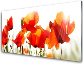 Szkło Ozdobne do Kuchni Krwistoczerwone Maki na Polu