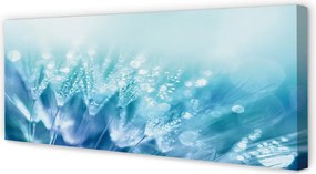 Obraz na płótnie Artystyczna Wizja Dmuchawca