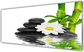 Panel Szklany Harmonijna Kompozycja Zen z Bambusem