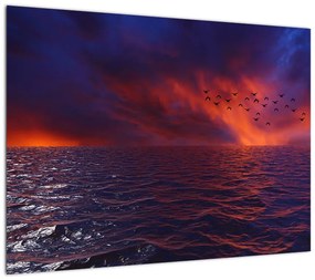 Obraz na szkle - morze z ptakami (70x50 cm)