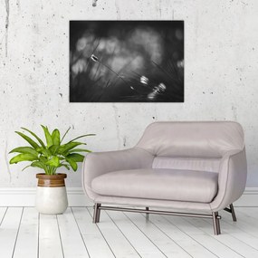 Obraz - Trawa łąkowa (70x50 cm)