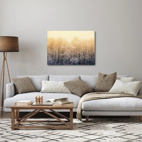 Obraz mroźnego lasu (70x50 cm)