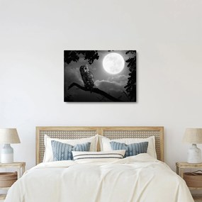 Obraz - Nocna sowa, czarno-biały (70x50 cm)