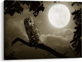 Obraz - Nocna sowa, złoty (70x50 cm)