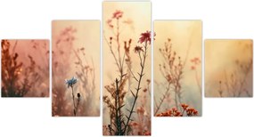Obraz - Dzikie kwiaty (125x70 cm)