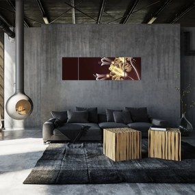 Obraz - Świecące kwiaty (170x50 cm)