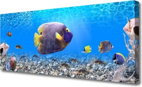 Zdjęcie na płótnie Złota Rybka w Tonii