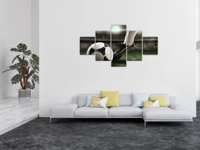 Obraz - Piłka nożna (125x70 cm)