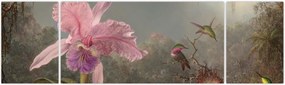 Obraz - Martin Johnson Heade, Cattleya Orchid and Three Hummingbirds, reprodukcje (170x50 cm)