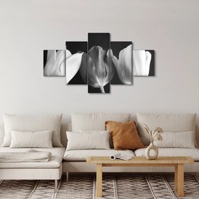 Obraz - Czarno - białe kwiaty tulipanów (125x70 cm)