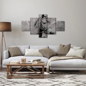 Obraz - Portret konia (125x70 cm)