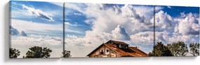Obraz pola słoneczników (170x50 cm)