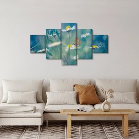 Obraz - Motyl na stokrotce (125x70 cm)