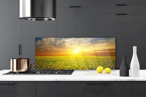 Panel Szklany Słoneczniki Na Słonecznej Polanie