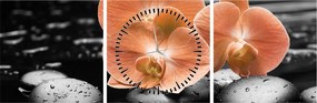 Obraz - Pomarańczowe orchidee (z zegarem) (90x30 cm)