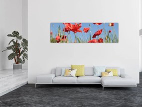 Obraz - Maki (170x50 cm)