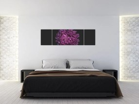Obraz fioletowego kwiatu (170x50 cm)
