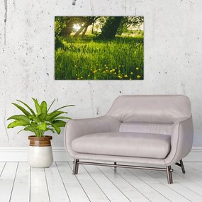 Obraz na szkle - natura - łąka (70x50 cm)