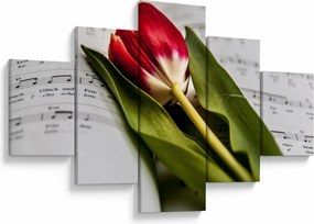 Obraz czerwonego tulipana (125x70 cm)