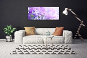 Obraz drukowany na płótnie Wykwintny Ogród Kwiatowy