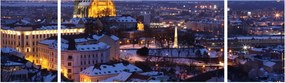Obraz - Katedra św. Piotra i Pawła, Brno, Czechy (170x50 cm)