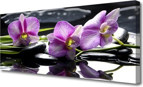 Obraz na płótnie Biała Orchidea na Płótnie