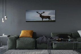 Obraz canvas na ścianę Nocne Spotkanie z Jeleniem