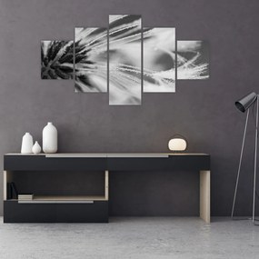 Obraz - Makro, czarno - biały (125x70 cm)