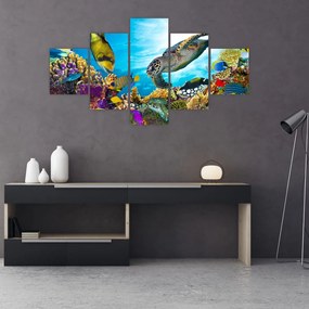 Obraz rafy koralowej (125x70 cm)