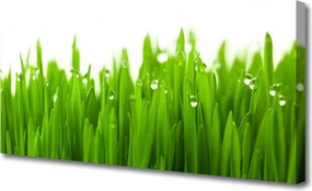 Zdjęcie na płótnie Soczysta Zieleń Polany