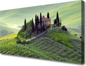 Zdjęcie na płótnie Sielska Łąka z Drzewami