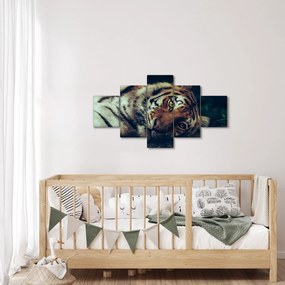 Obraz - tygrys syberyjski (125x70 cm)