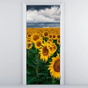 Fototapeta na drzwi - Pole słoneczników (95x205cm)