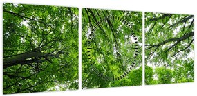 Obraz - Widok do korony drzewa (z zegarem) (90x30 cm)
