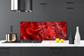 Panel Kuchenny Dzika Róża W Rozkwicie