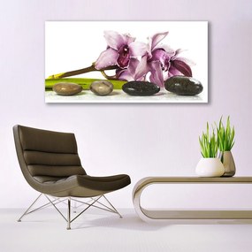 Obraz canvas Harmonijna Roślina i Kamienie