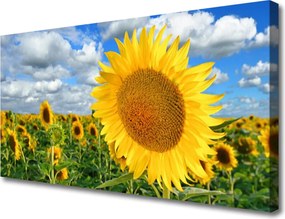 Duży obraz na płótnie Złoty Słonecznik pod Niebem