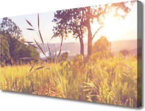 Obraz canvas Spokój Zielonej Polany