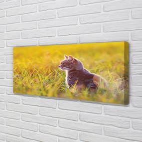 Fotoobraz na płótnie Kot w Trakcie Polowania