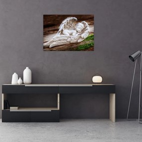 Obraz - Śpiący anioł (70x50 cm)