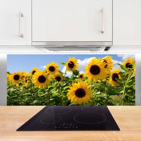 Panel Szklany Złoty Słonecznik w Słońcu