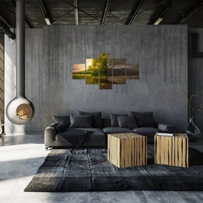 Obraz - Cykl życia (125x70 cm)