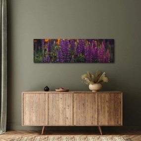 Obraz kwiatów łubinu (170x50 cm)