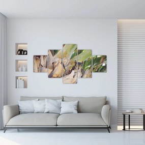 Obraz wiewiórki na drzewie (125x70 cm)