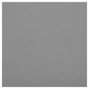 Porcelanowa miska dla psów ø 21,5 cm Coppa Slate M/L – MiaCara