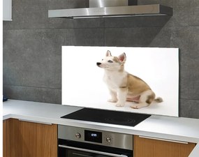 Szklany Panel Siedzący mały pies