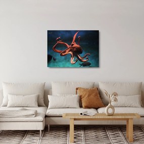 Obraz na szkle - Ośmiornica (70x50 cm)